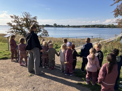Badebro ved Guldborgsund